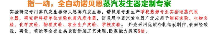 3-12kg/h實(shí)驗(yàn)研究小型蒸汽發(fā)生器簡(jiǎn)介